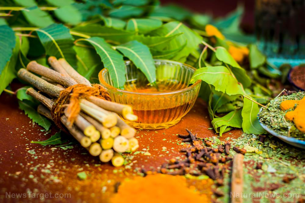 Image: Ayurveda cures all 65,000 patients of covid in Indian town