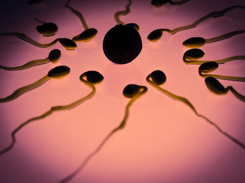 Image: STUDY: Covid infection causes men to lose one-third of sperm