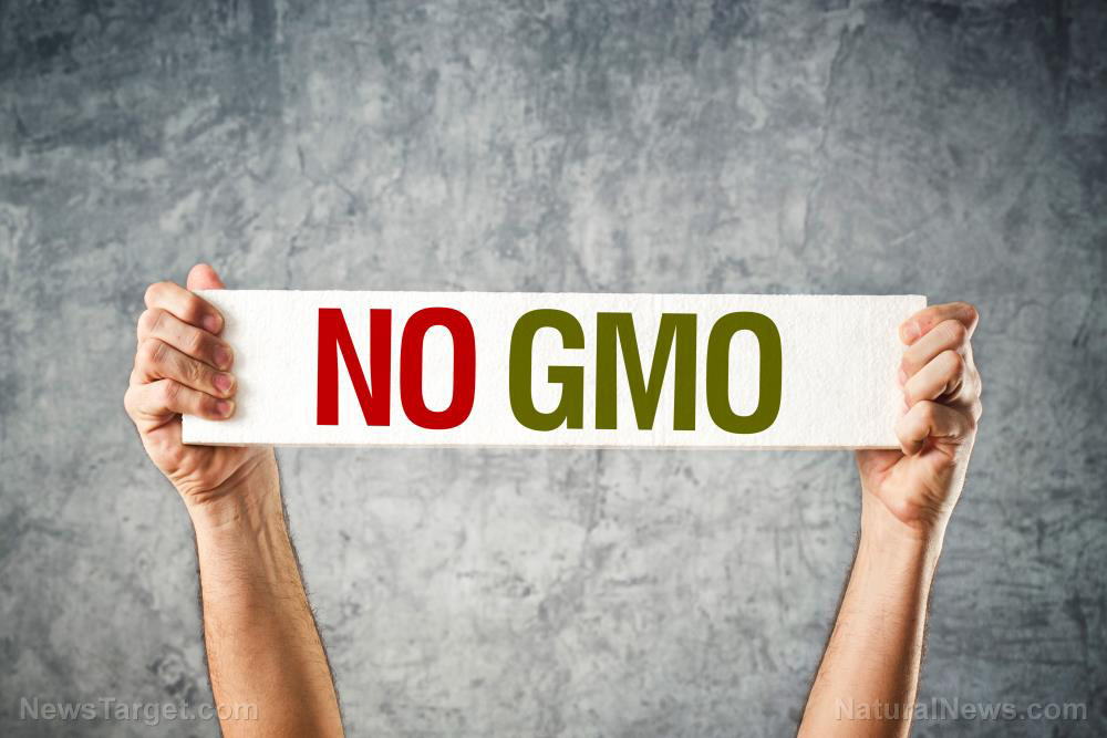 Image: Corporate-infested US government panicking over Mexico’s rejection of GMO crops