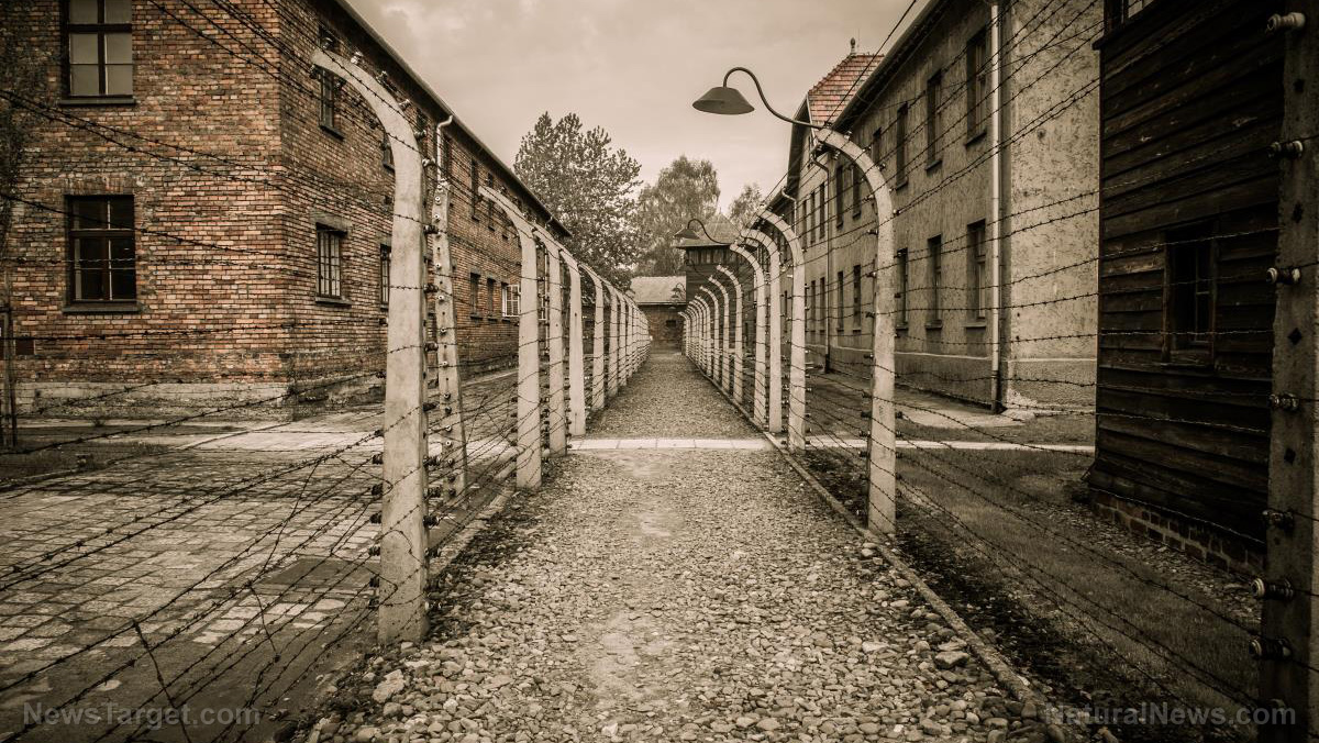 Image: History repeats itself: Holocaust survivor goes into hiding after German court authorizes her transfer to psychiatric institution for forced COVID-19 vaccination