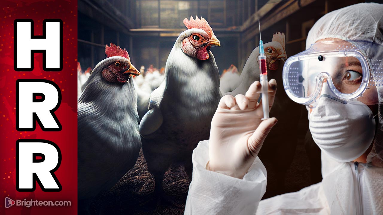 Майк Адамс Поставки мяса в США вскоре могут быть широко загрязнены белками мРНК из биотехнологических “вакцин” Situation-Update-HRR-2023-1-16-v