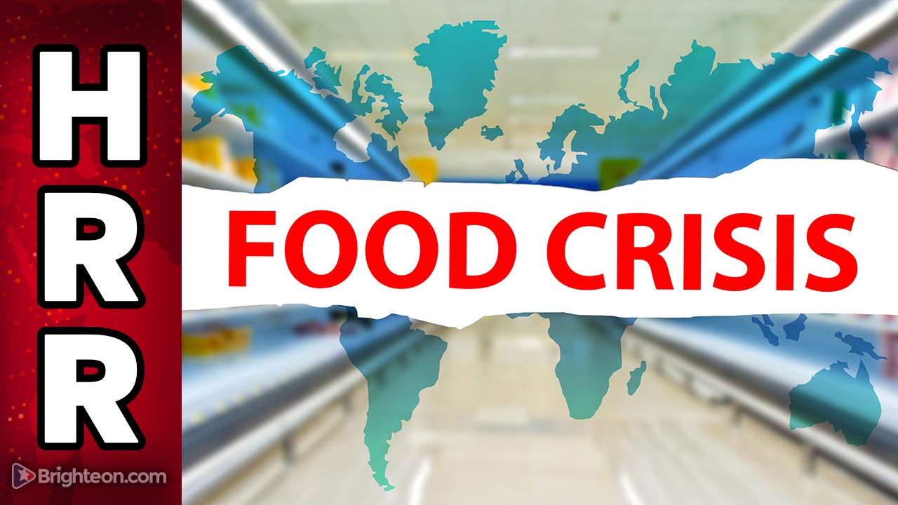 Die zehn größten Bedrohungen für Ihre Lebensmittelsicherheit im Jahr 2023. Bereiten Sie sich auf einen „Lebensmittelpolizeistaat“ mit Wachen, Rationierung und Aufständen vor