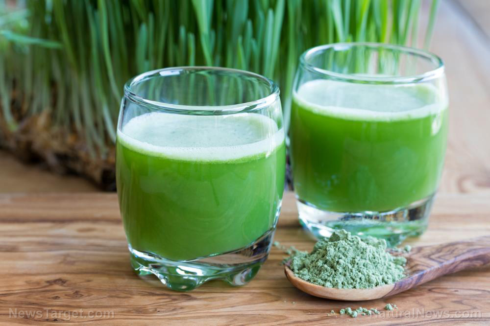 Image: Beneficial enzymes in barley grass can boost gut health and protect against cancer