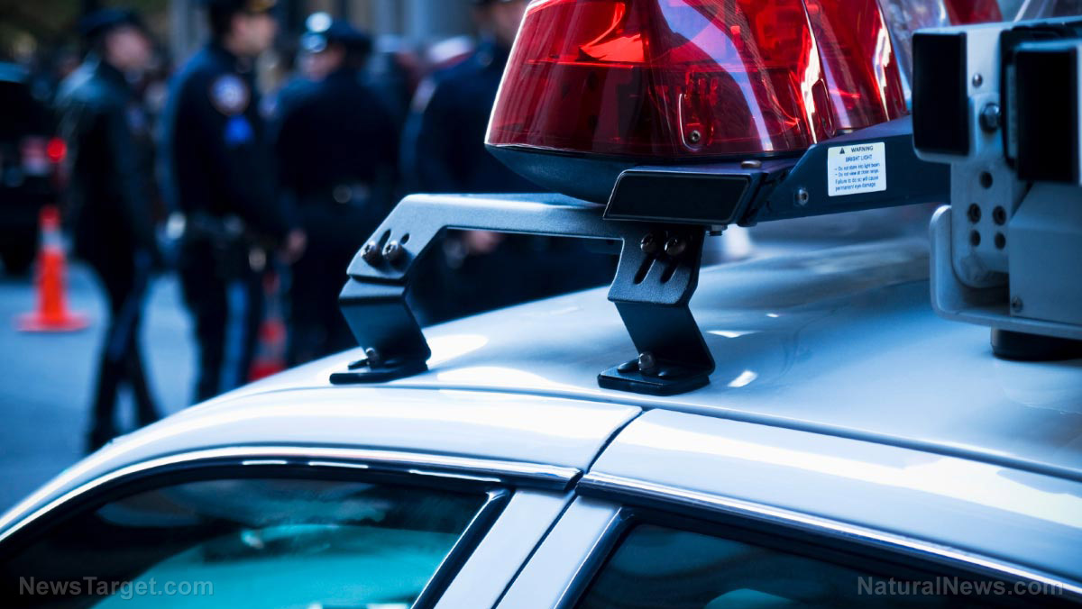 Immagine: la polizia di New York utilizzerà auto di pattuglia 