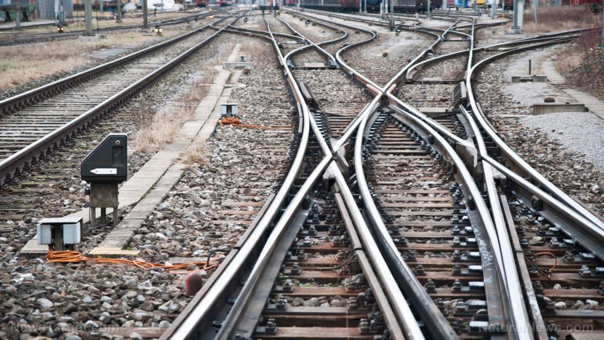 Image: 18-inch pipe bomb found near railroad tracks in Philadelphia neighborhood