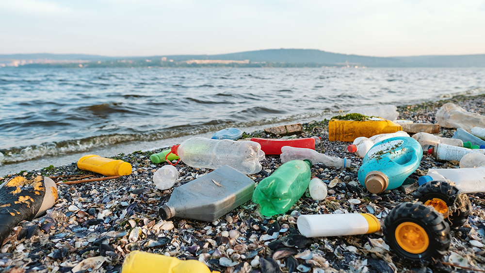Image: Chronic exposure to environmental pollution linked to plasticosis, a disease caused by ingestion of plastic particles