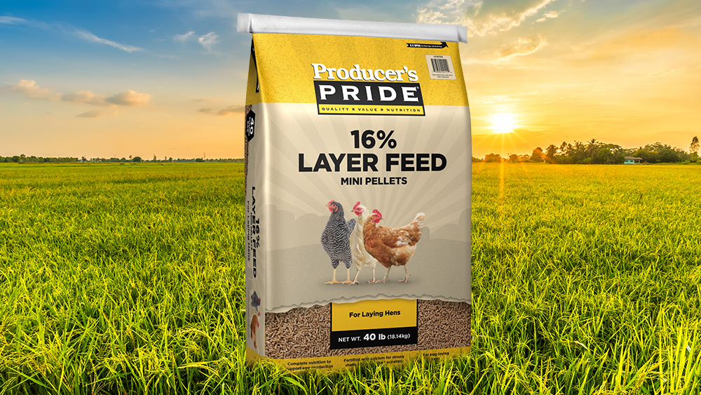Image: EXCLUSIVE: Natural News releases lab test results of Tractor Supply “Producer’s Pride” chicken feed (and five other chicken feed products)