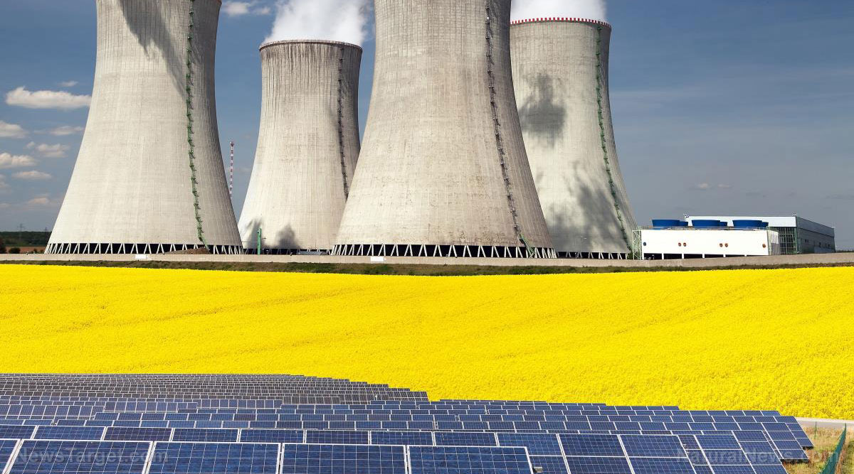 Las Energías Renovables son insuficientes para dar Energia a Europa