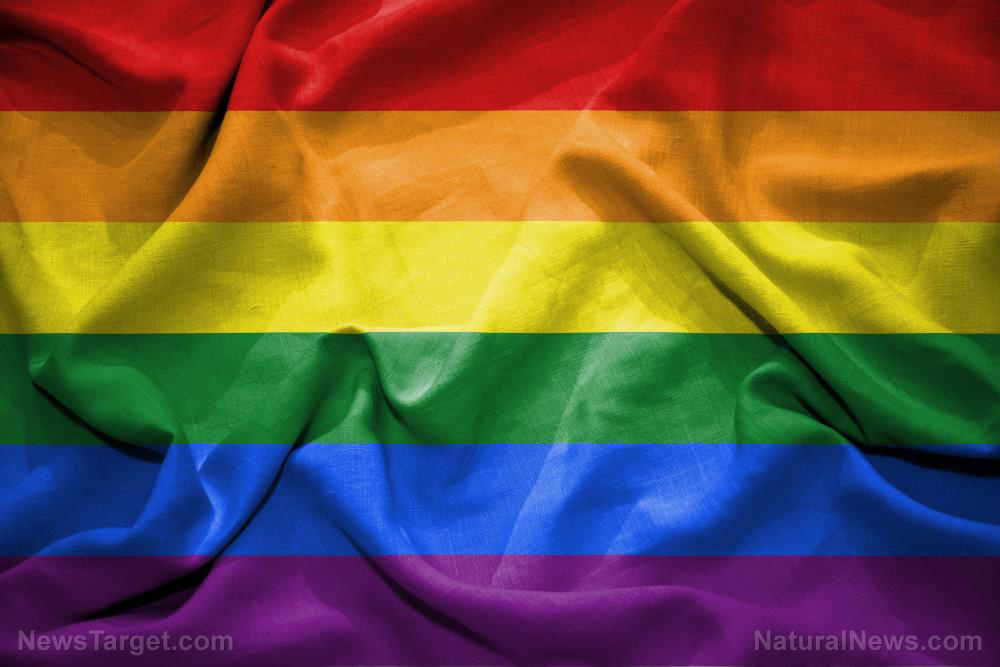 LGBT “pride” clothing for babies being pushed at many perverted American retailers – NaturalNews.com