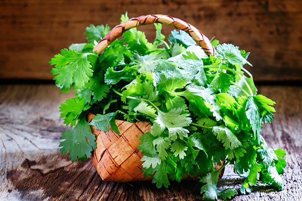Image: Super herb CILANTRO shown to help remove HEAVY METALS from the body