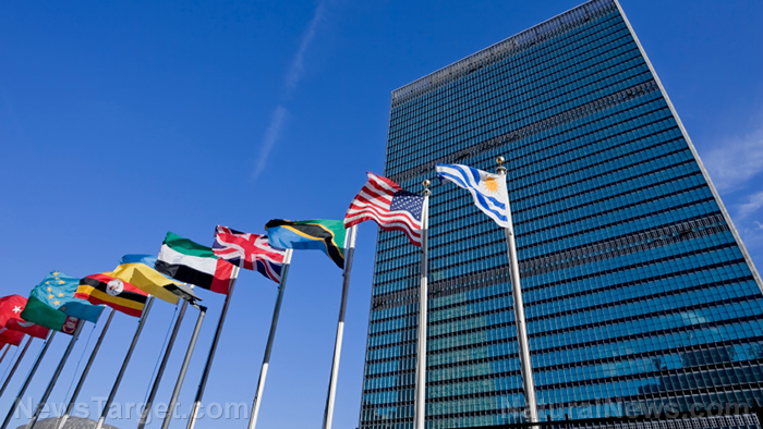 Image: Liberty watch: UN seeks to introduce global ID that would be tied to an individual’s bank account