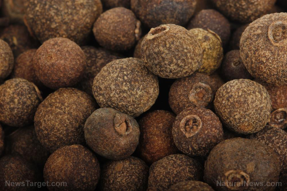 Allspice is LOADED With Vitamins & Minerals & Provides Surprising Health Benefits