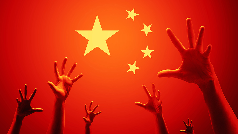 China Flag Hands