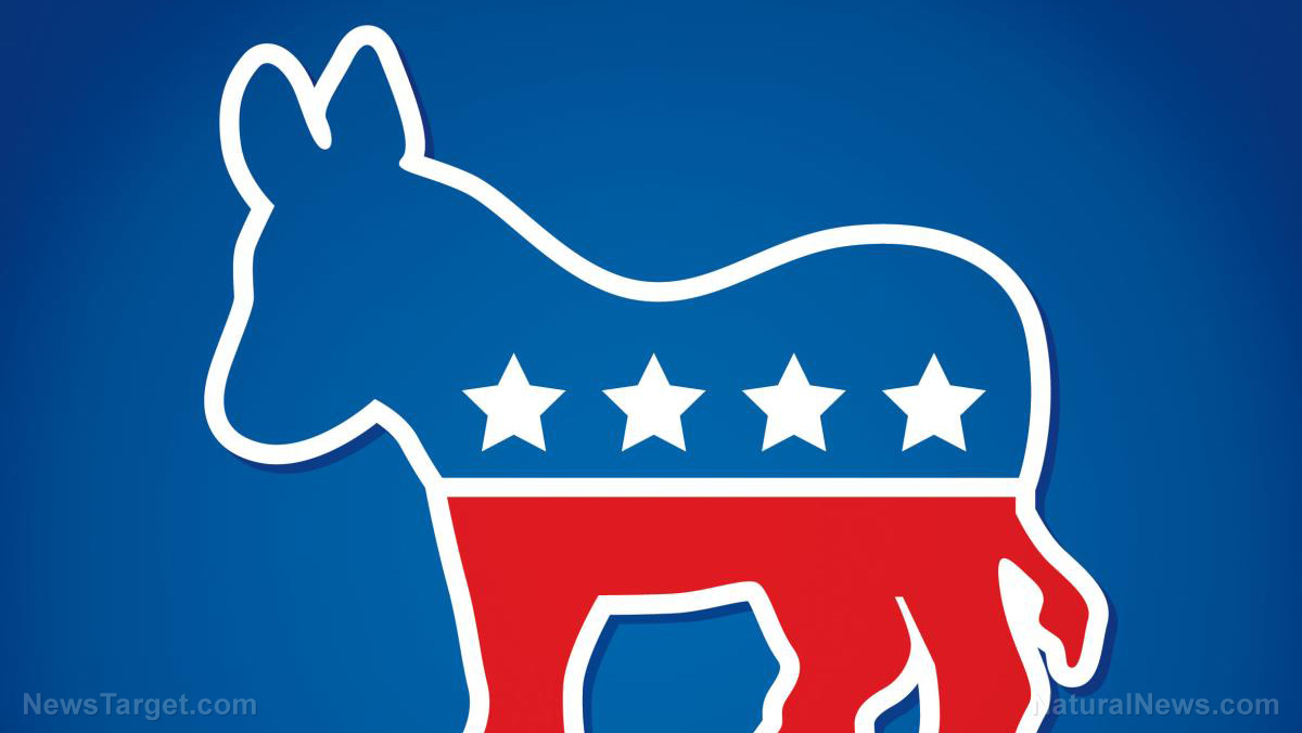 Democrat Donkey Republican Elephant Party Symbol Vector