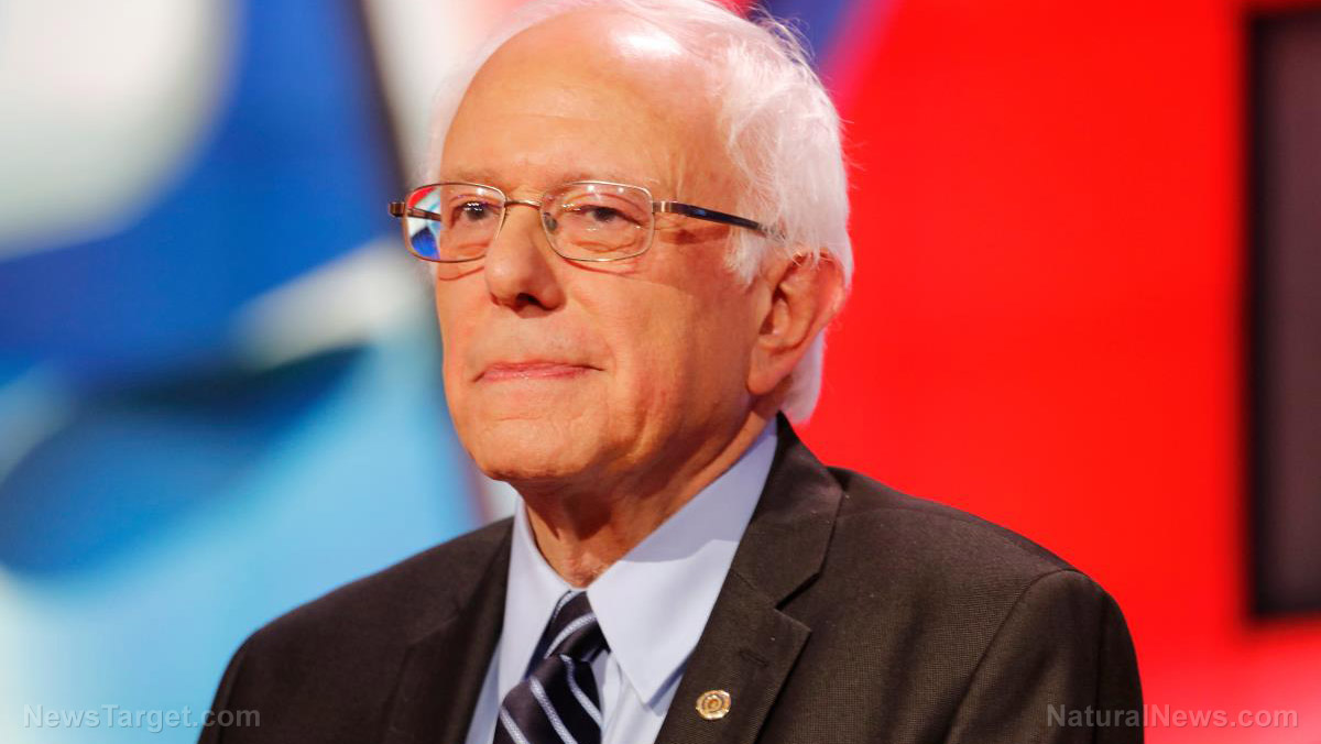 Editorial Use Bernie Sanders Stare Glasses