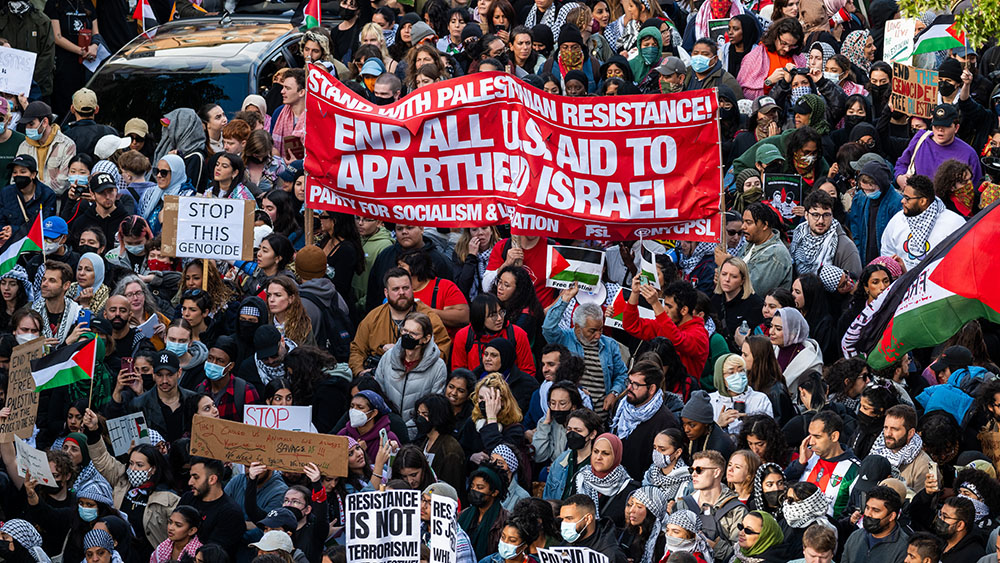 Palestine Supporters Hold Demonstration in Brooklyn