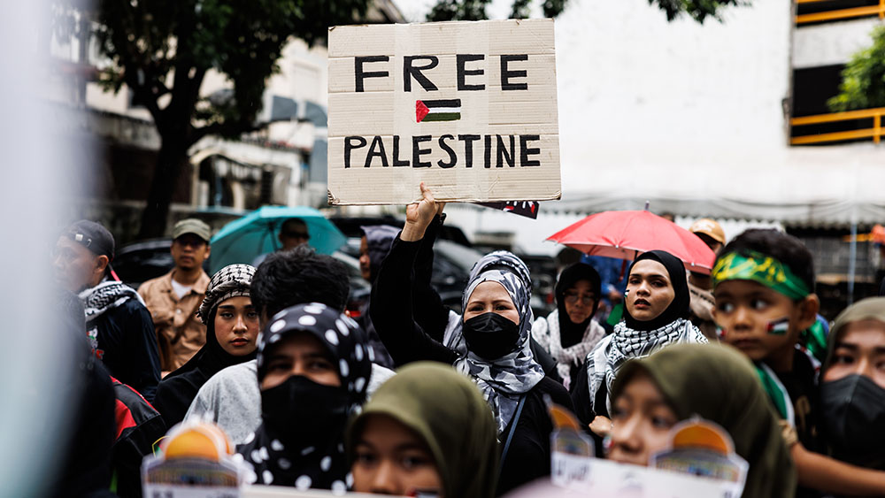 Pro Palestine Protesters Free Palestine Poster