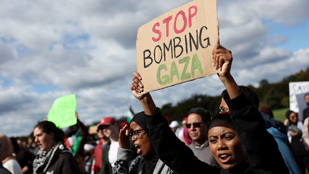 Pro Palestinian Protester Sign Bombs