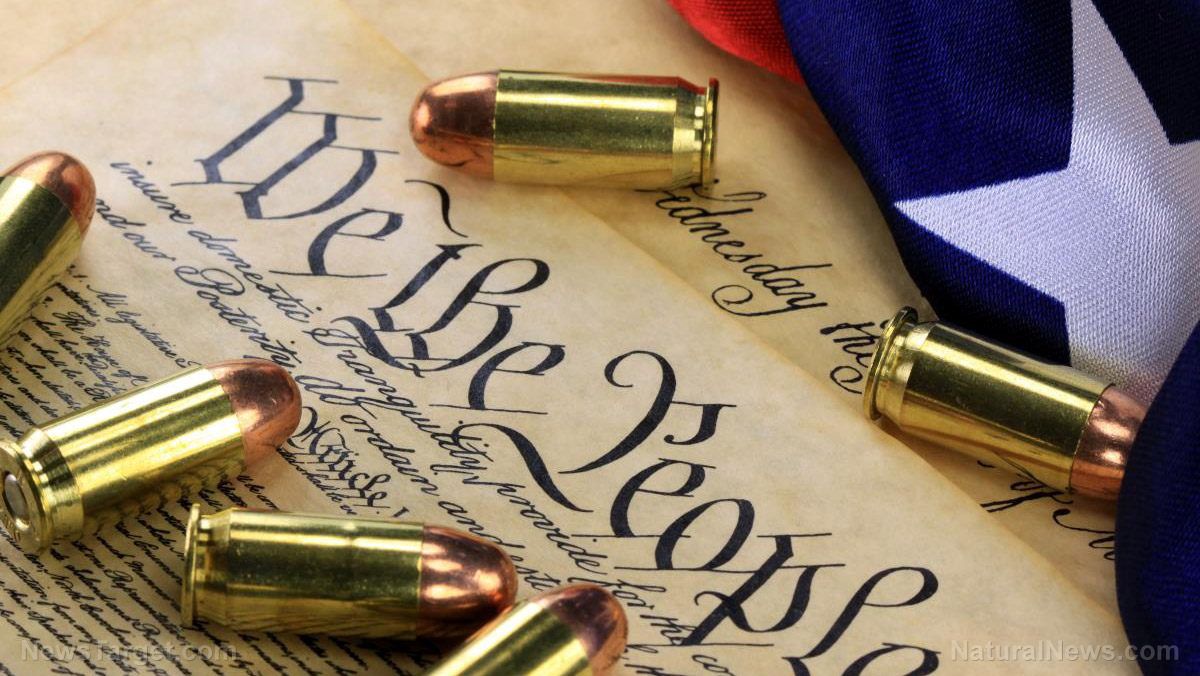 Second Amendment Guns