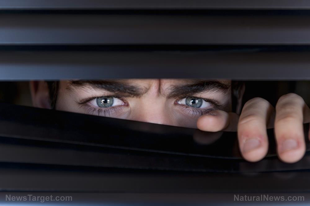 Spy Neighborhood Men Watch Window Through Looking