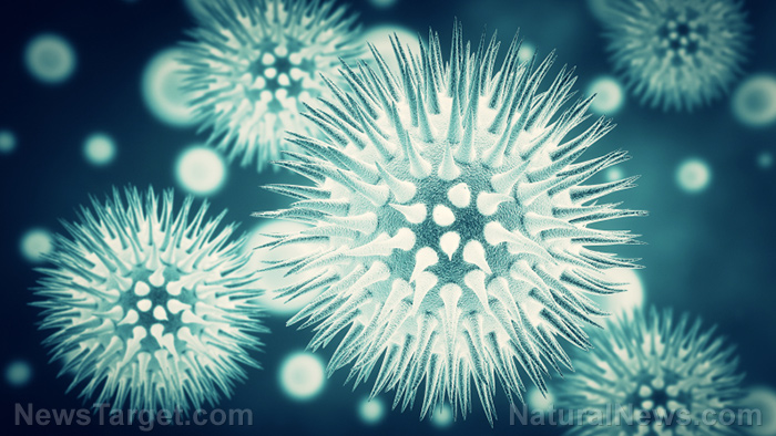 Virus Microscope Bacteria Spikes
