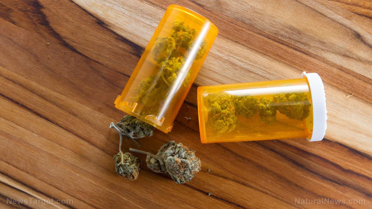 Dallas residents vote to decriminalize marijuana in small amounts – NaturalNews.com Dallas residents vote to decriminalize marijuana in small amounts – NaturalNews.com
