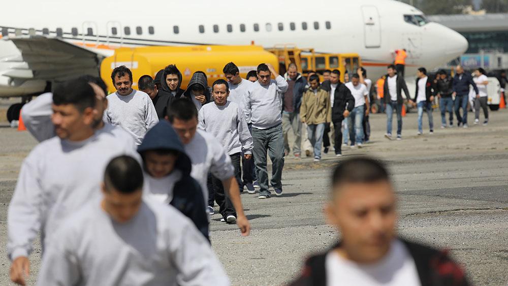 Trump administration DEFIES federal judge, proceeds with deporting gang members