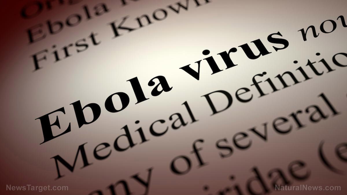 Congo’s latest Ebola outbreak tests global health systems – NaturalNews.com Congo’s latest Ebola outbreak tests global health systems – NaturalNews.com