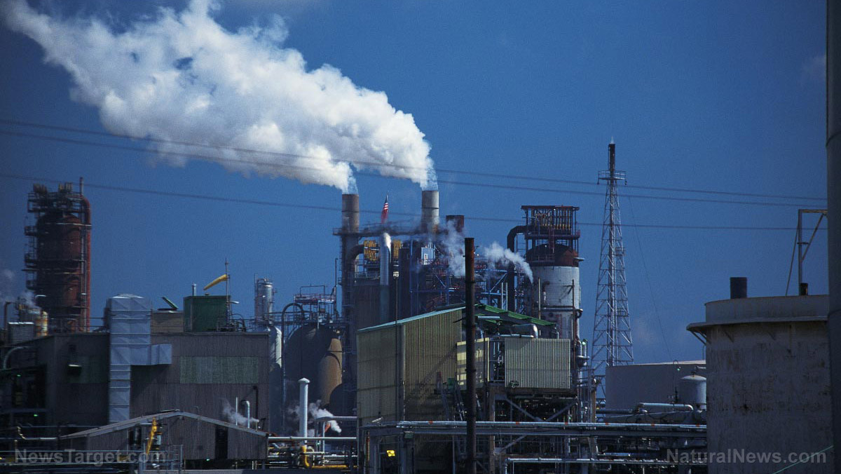 A legacy of loss: Family sues Merck, alleging plant toxins caused daughter’s cancer