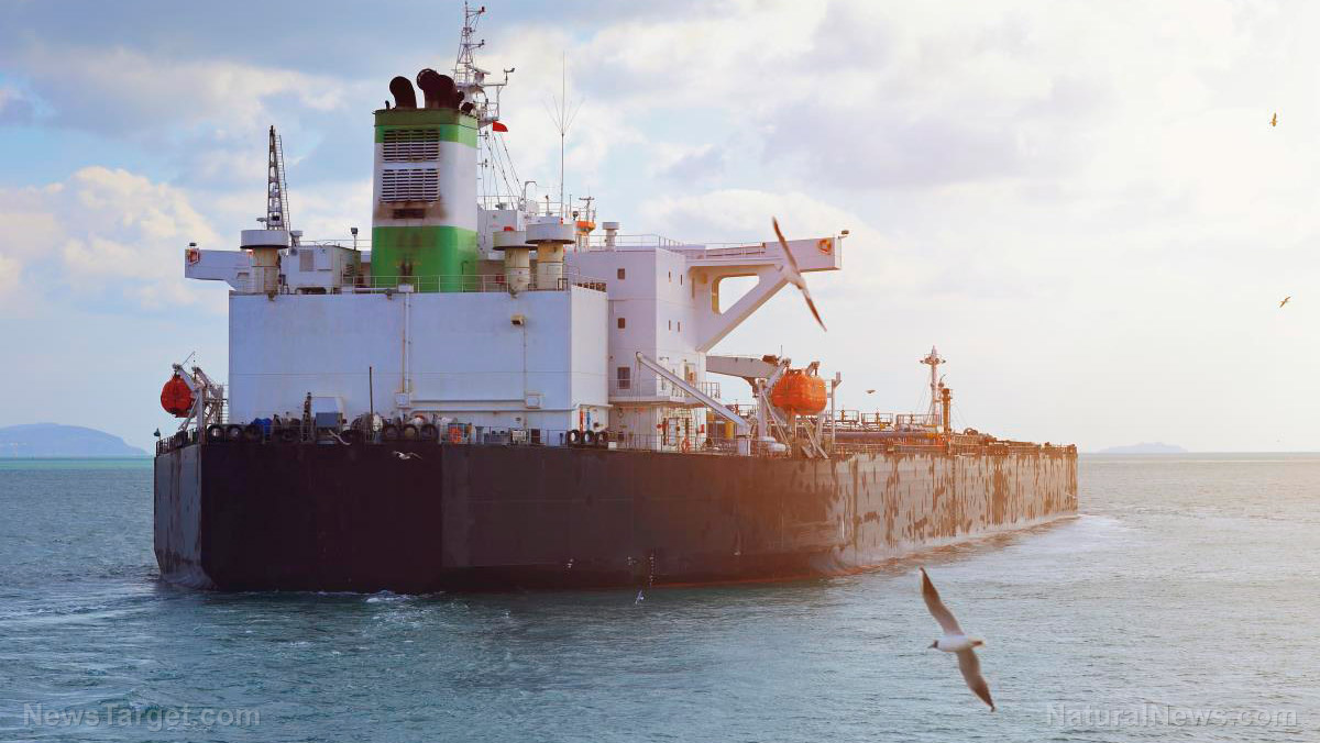 Report reveals 25 nations supplied oil to Israel during Gaza offensive, raising genocide complicity concerns