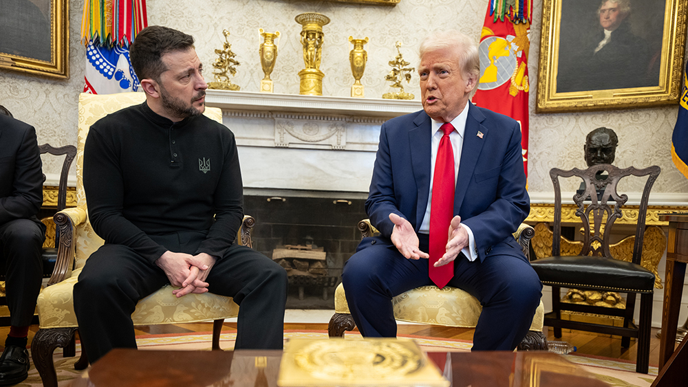 Trump’s Ukraine peace plan gains momentum as Zelensky signals willingness to negotiate amid mounting skepticism