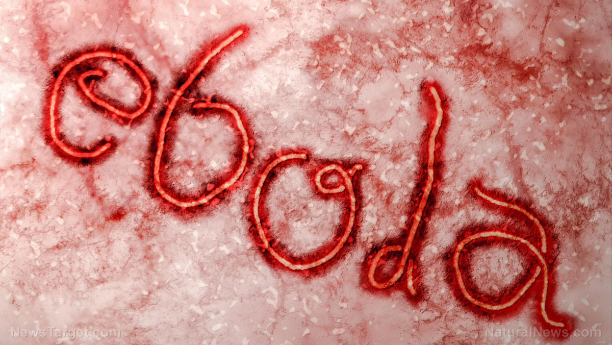 Congo’s latest Ebola outbreak has been contained, but a broken system remains – NaturalNews.com Congo’s latest Ebola outbreak has been contained, but a broken system remains – NaturalNews.com