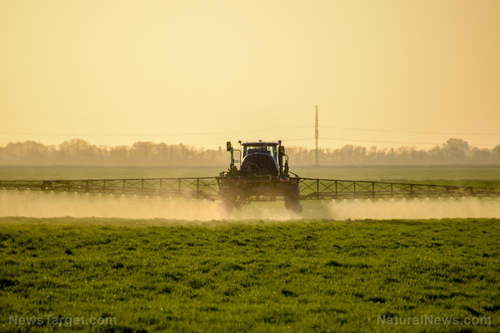 EPA ignores international cancer warning about dangerous herbicide – NaturalNews.com EPA ignores international cancer warning about dangerous herbicide – NaturalNews.com
