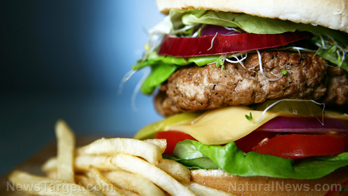 Health crisis from processed foods, GMOs and electromagnetic pollution – NaturalNews.com Health crisis from processed foods, GMOs and electromagnetic pollution – NaturalNews.com