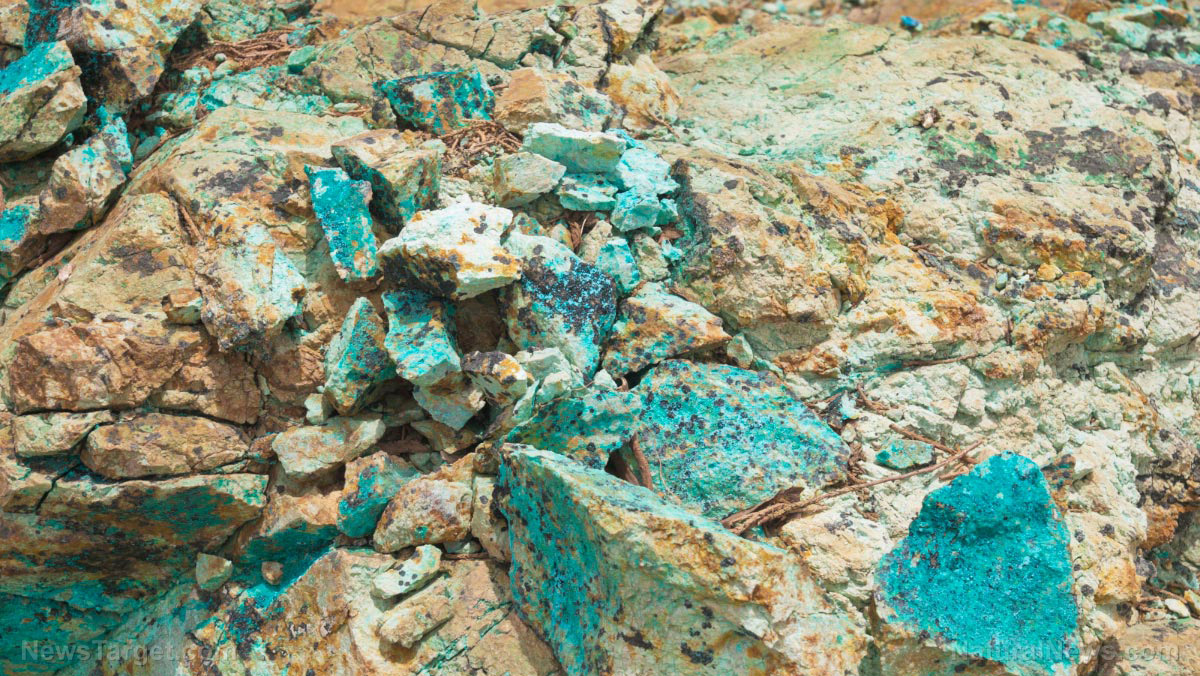 Japan and U.S. forge rare earth alliance to break China’s stranglehold on critical minerals – NaturalNews.com Japan and U.S. forge rare earth alliance to break China’s stranglehold on critical minerals – NaturalNews.com