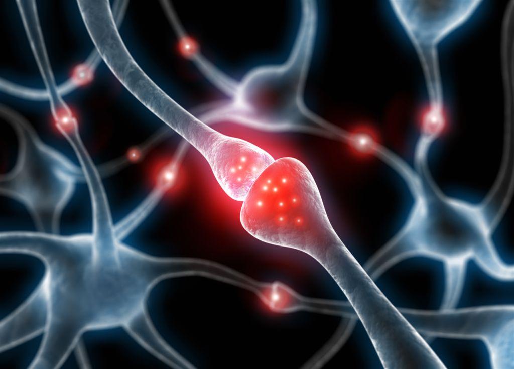 Study links LOUD SOUNDS to dopamine neuron damage, triggering symptoms similar to Parkinson’s disease – NaturalNews.com Study links LOUD SOUNDS to dopamine neuron damage, triggering symptoms similar to Parkinson’s disease – NaturalNews.com