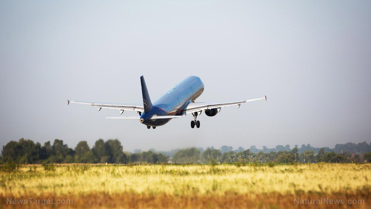 Beyond white knuckles: How to rewire your body’s fear of flight