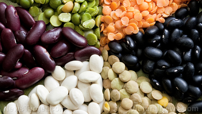 Beans: The nutritional powerhouse you should be eating daily