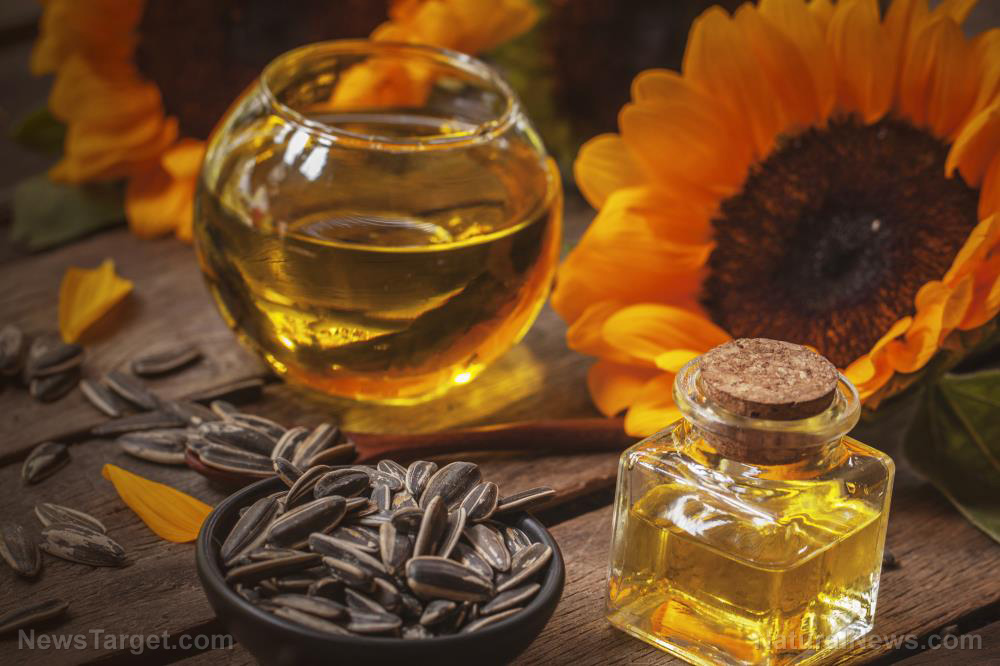 A nutrient-dense superfood – NaturalNews.com A nutrient-dense superfood – NaturalNews.com