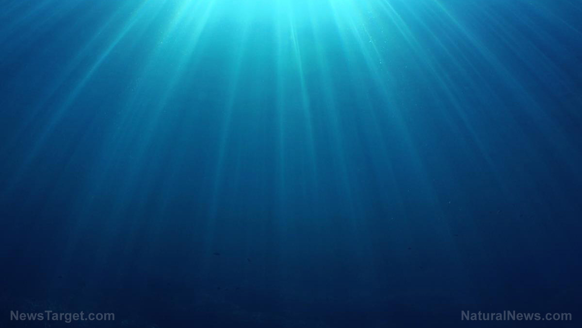 2,000-year-old “pleasure barge” discovered in Alexandria’s ancient harbor – NaturalNews.com 2,000-year-old “pleasure barge” discovered in Alexandria’s ancient harbor – NaturalNews.com