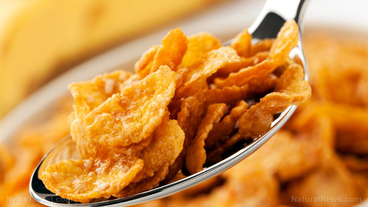 The hidden TOXINS in your breakfast bowl: How common grains may be putting your health at risk