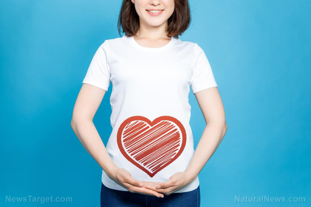 Beyond the fog: How gut health and lifestyle hold the key to reclaiming mental clarity