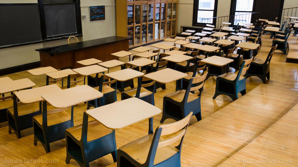 Minneapolis Public Schools CANCELS in-person classes after fatal shooting of Renee Nicole Good