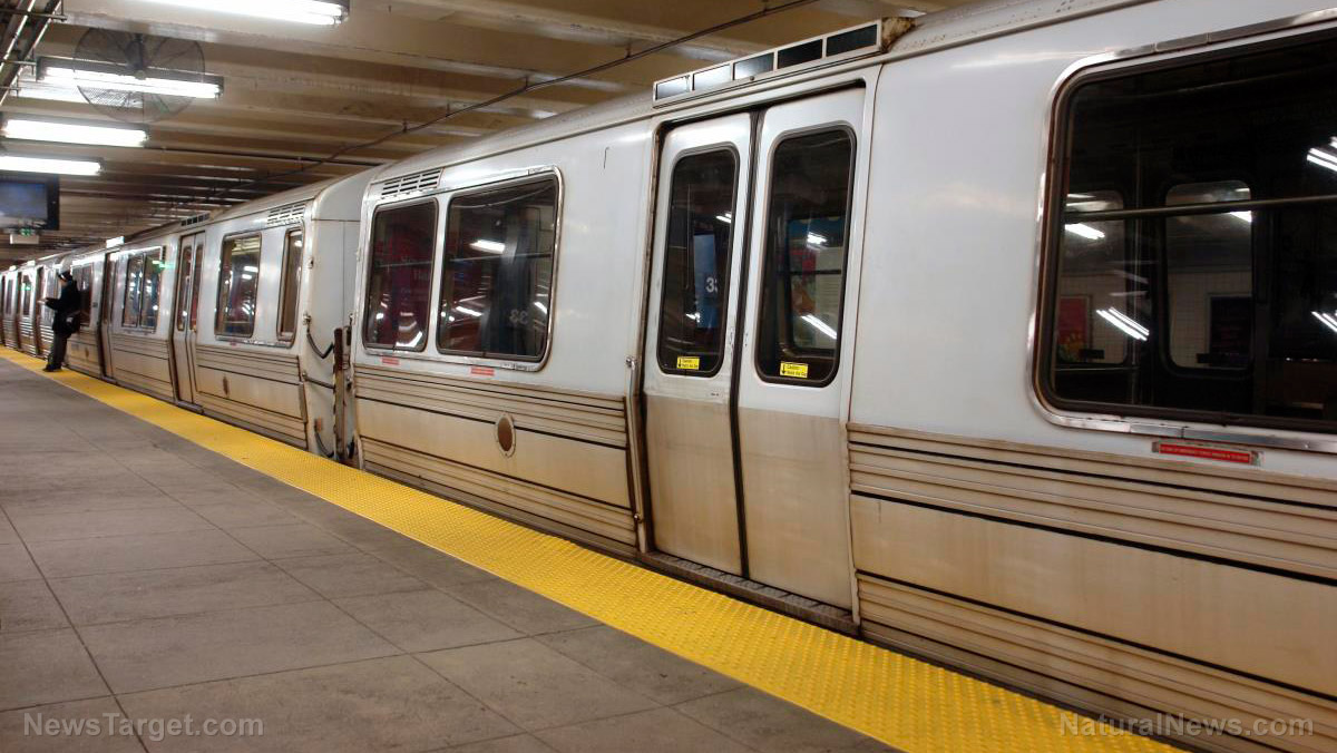 Foreign nationals accounted for 79% of train theft arrests in Britain in 2025, police data show