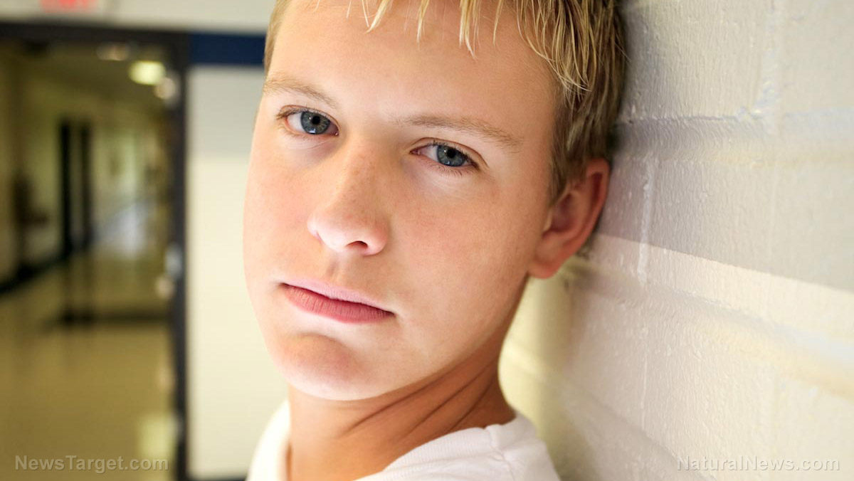 The childhood crisis: How modern life is wiring kids for anxiety