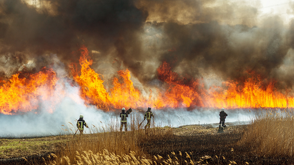 A region in flames: Patagonia battles raging WILDFIRES