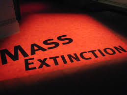 Royal Society study finds no evidence of climate-driven mass EXTINCTION in the past 200 years