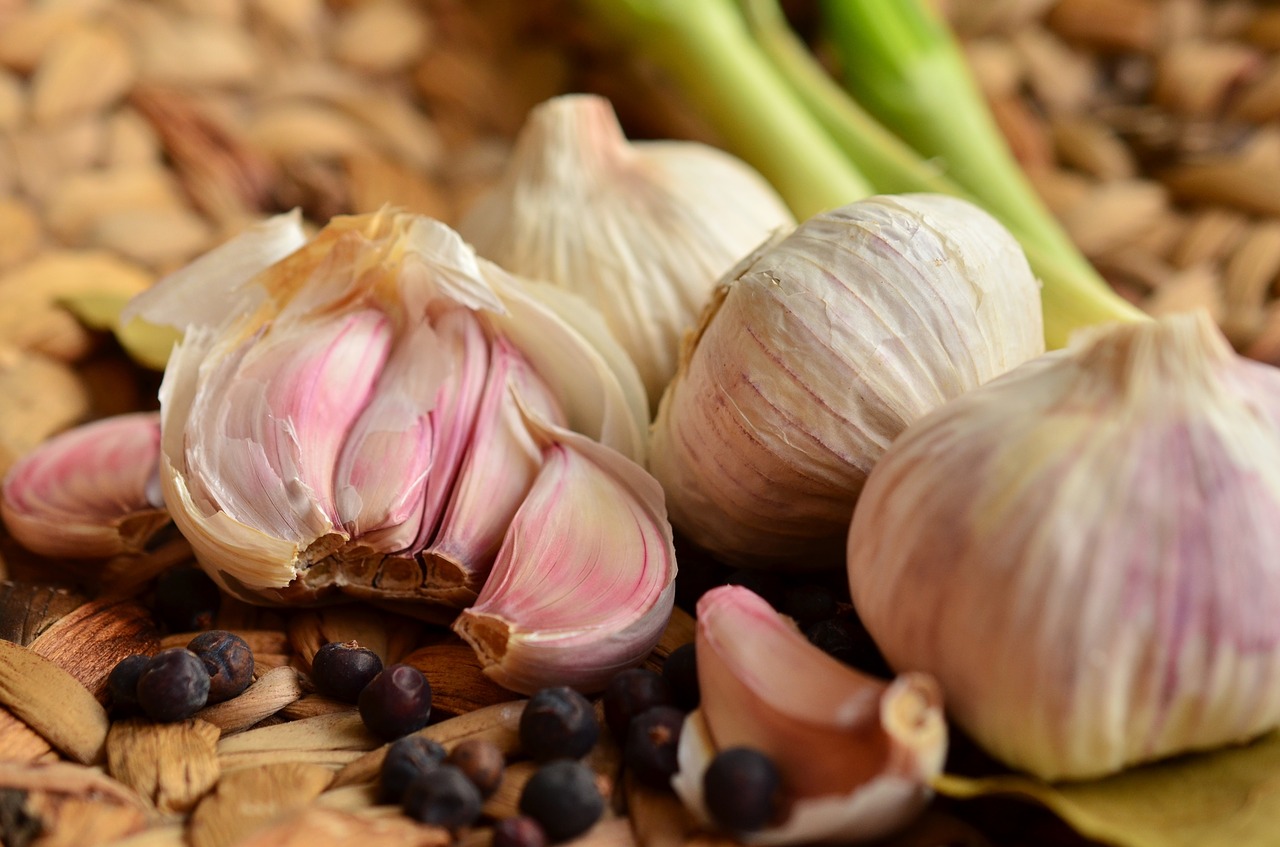 Ancient civilizations to modern science agree: Garlic is a powerhouse for health