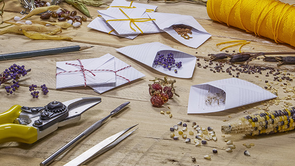 âDanger is realâ: Mystery seed mailings from China spike across Texas, prompting security fears