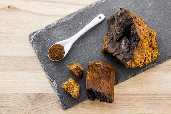Chaga mushroom: Science-backed health benefits of an ancient superfood